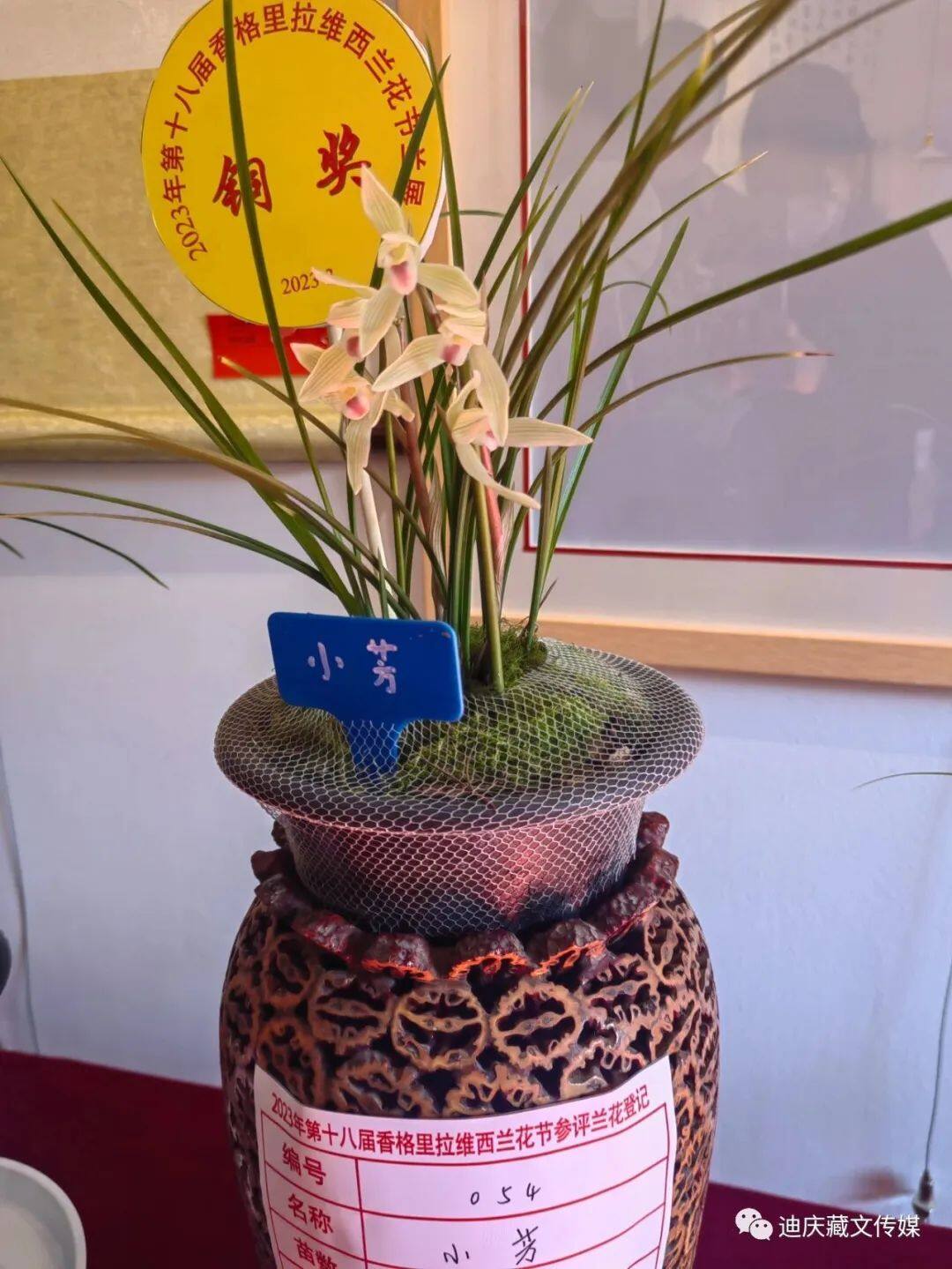 圖片