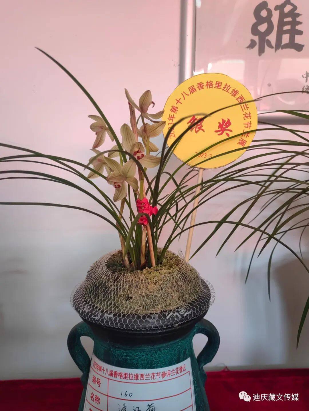 圖片